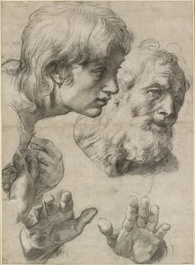 Studies of the heads of two apostles and of their hands by Raffaello Sanzio Raphael